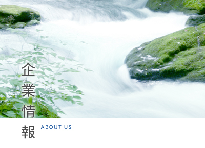 企業情報
